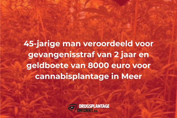 Meer - Een 45-jarige man veroordeeld voor cannabisplantage